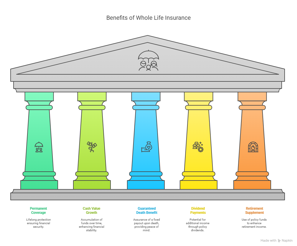 What Is Whole Life Insurance?